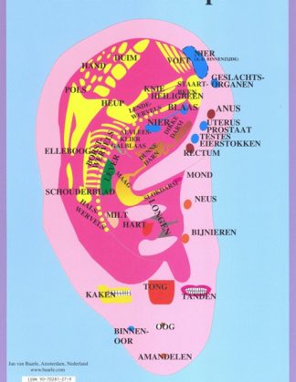 Auriculotherapie: reflexzones van het oor kleurenkaart in pocketformaat