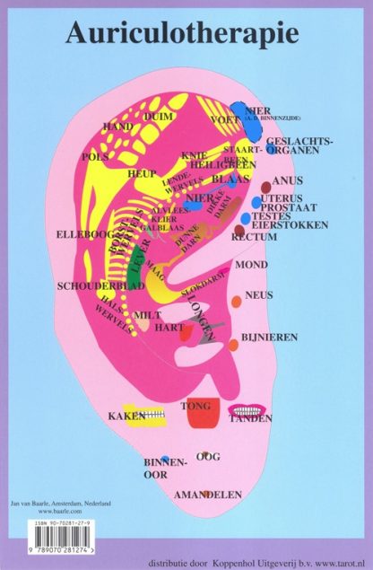 Auriculotherapie: reflexzones van het oor kleurenkaart in pocketformaat