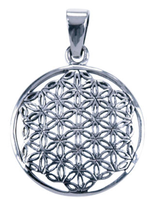 Hanger Flower of Life zilver medium