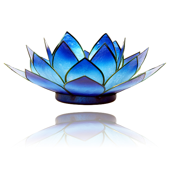 wasmiddel vergeven Onheil Lotus Sfeerlicht blauw 2-kleurig - Het Gouden Tijdperk
