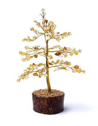 Edelsteenboom Citrien 18 cm